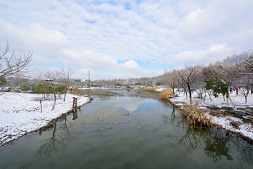 湿地雪景