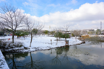 湿地雪景