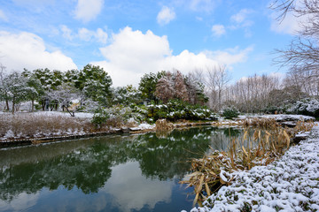 湿地雪景