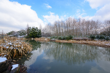 城市湿地