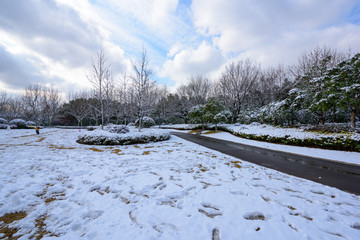 公园雪景