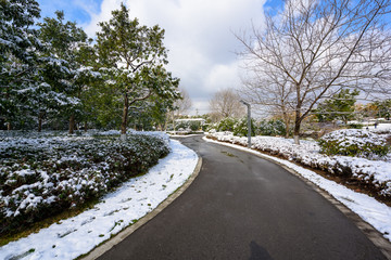 上海雪景