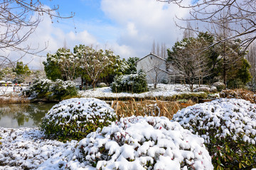 公园雪景