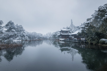 杭州曲院风荷雪景