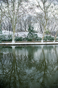 雪景