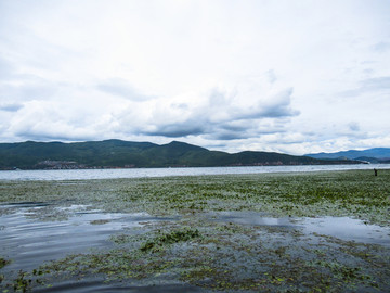 洱海风景