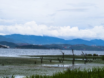 洱海风景