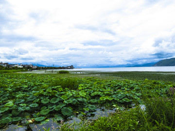 洱海风景