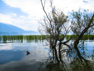 洱海美景