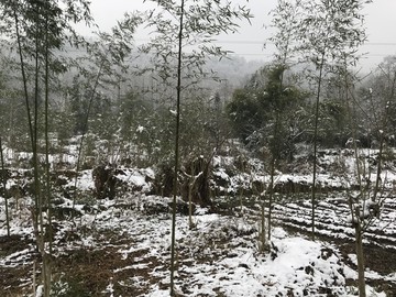 四川彭州通济雪景