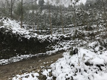 四川彭州通济雪景