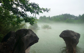 迷雾小河