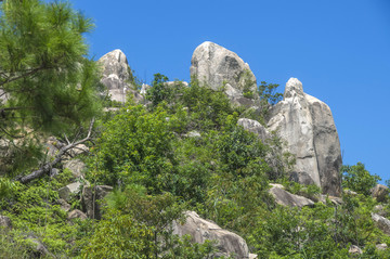 青山上的岩石风景