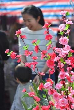 春节花市