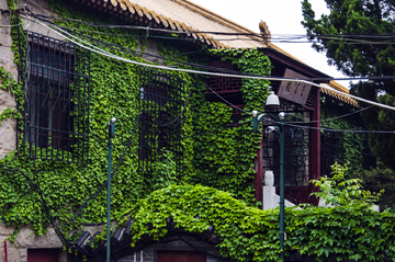 湛山寺