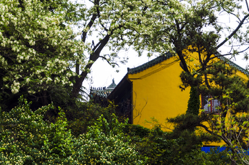 湛山寺