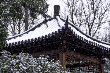 雪景