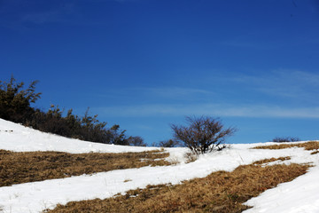 临沧大雪山