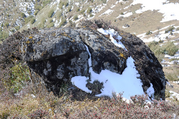 临沧大雪山