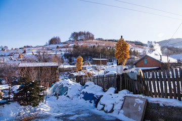 松岭雪村