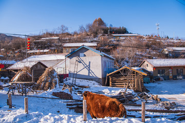 松岭雪村