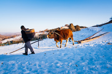 松岭雪村