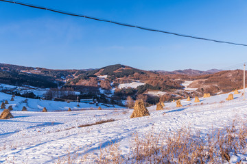 松岭雪村