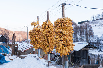 松岭雪村