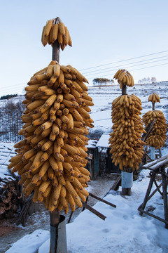 松岭雪村