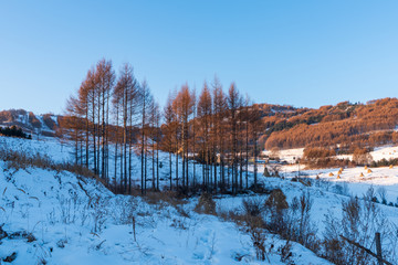 松岭雪村