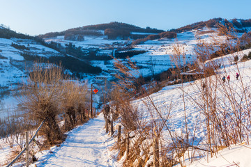 松岭雪村