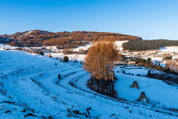 松岭雪村