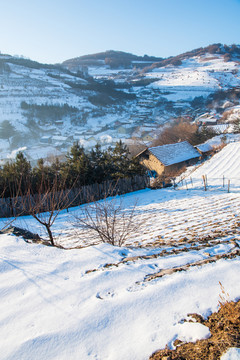 松岭雪村