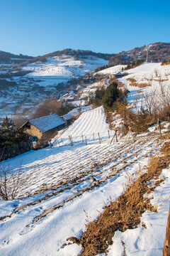 松岭雪村