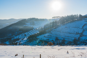 松岭雪村