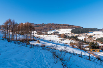 松岭雪村