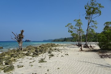 海滩风光