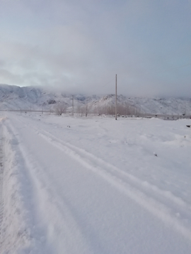 白雪