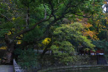 天童禅寺