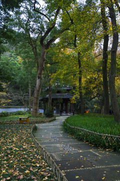 天童禅寺