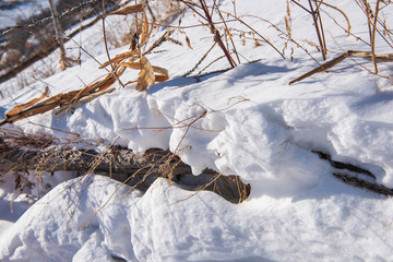 松岭雪村