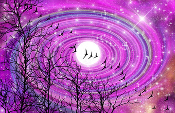 高清樹影星空墻紙裝飾畫