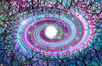 高清樹影星空宇宙裝飾畫