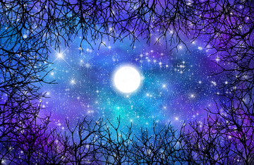高清樹影星空裝飾畫