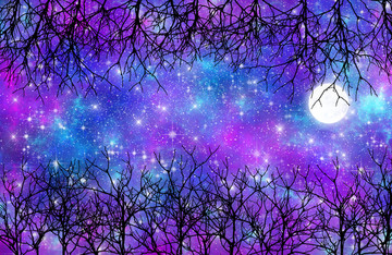 高清樹影星空宇宙裝飾畫