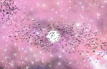高清宇宙星空樹(shù)影裝飾畫(huà)