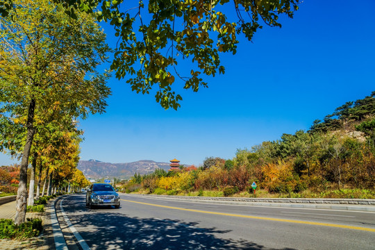 泰山桃花源路