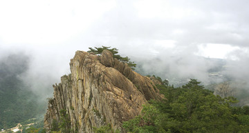 岩石山峰和青松树全景图俯拍