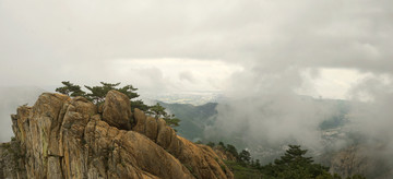 岩石山峰和青松树全景图俯拍