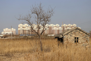 农村到城市